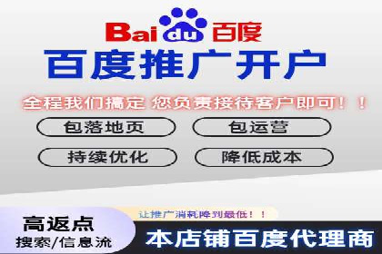 成功SEM推广代运营案例分享